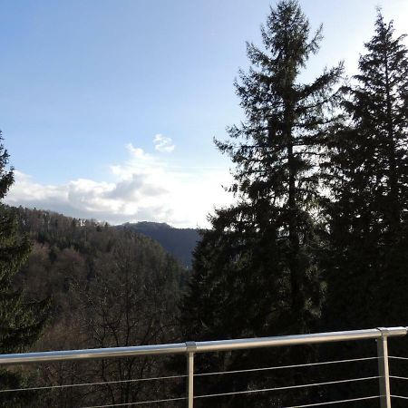 Gite Esperanza Spa Et Sauna Haselbourg Luaran gambar