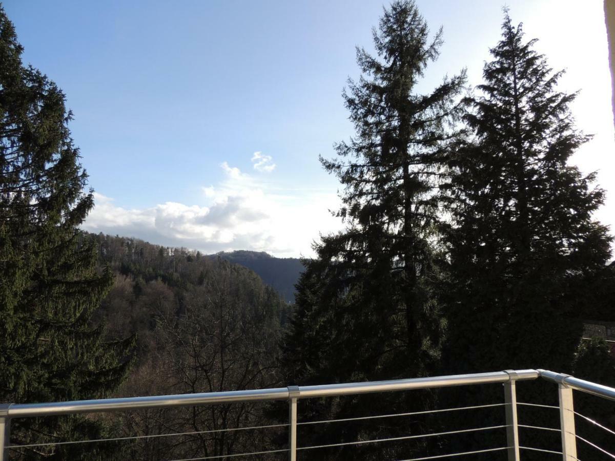 Gite Esperanza Spa Et Sauna Haselbourg Luaran gambar